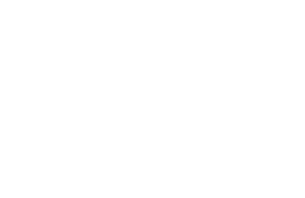 TurtleQ